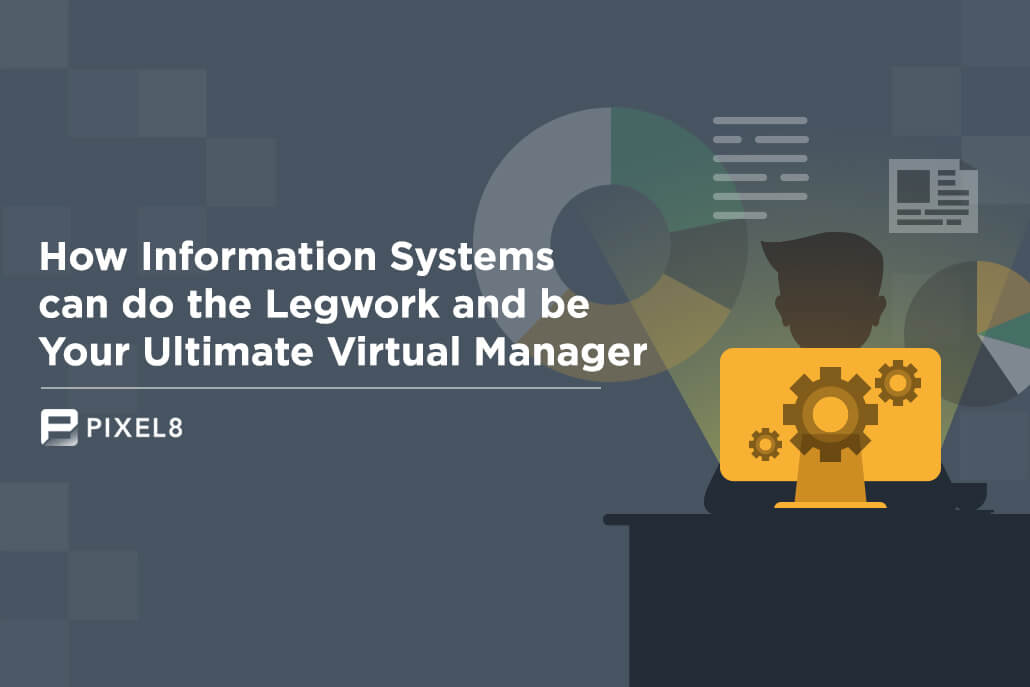 Information System Management Pixel8