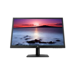 HP v223v Monitor
